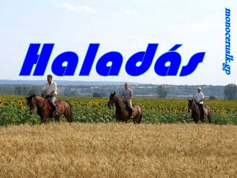 lovaglas.jpg