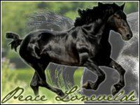 peaceloneveldbanner69d7a.jpg